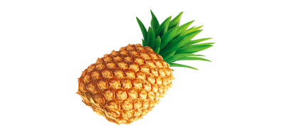 L’ANANAS