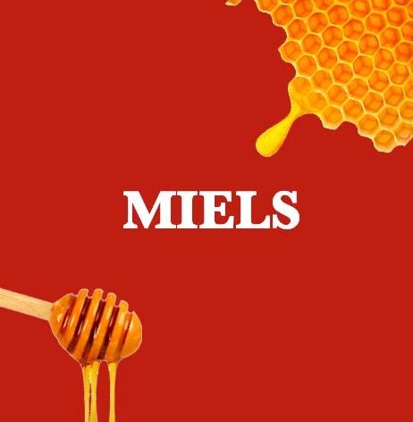 people-working-img-1